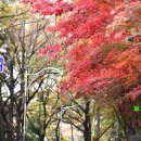 죽도봉 주차장 내 이미지