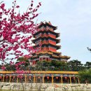 불로초교 | 중국 연태 삼선산 자유 여행, 입장료 할인팁, 짐보관 후기, 중국 고속철도(가오티에 高铁) 탑승기