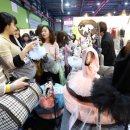 LOVING PET 이미지