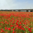 영산강둔치체육공원 이미지