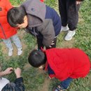 은진농장 | 아이랑 갈만한 곳 - 서울 강남에 위치한 은진농장 시금치 수확(12월) 체험 후기