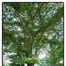 사무실용 건축물(서초동 1604-22) | [경기] 김포지역 둘러보기 … (4) 우저서원 (시도유형문화재 제10호)