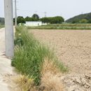 울진공인행정사 이미지