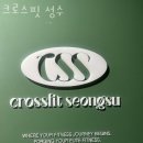 크로스핏 성수 네이버블로그