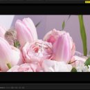 더수려한스냅 감리교신학대학교 웨슬리채플 본식스냅 본식DVD 후기