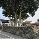 안월선민박;제주