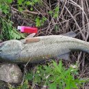 새물낚시터 이미지