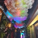 강남-236 이미지