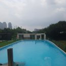 월드애견 이미지