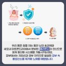 🔸️＜必讀＞잠과 뇌 이미지