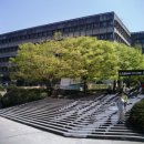 스텔라(Stella) 이미지