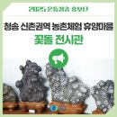 신촌권역농촌체험휴양마을 이미지