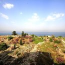 비블로스 이미지