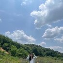 노마드(NOMAD) HOTEL 이미지