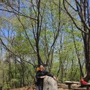 김태식농장 이미지