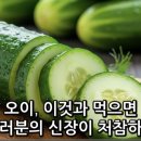 콩팥 파괴犯 이미지