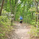 포항상생숲길 이미지