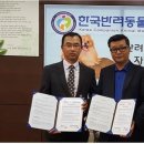 도그피아 이미지