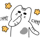 강가네 우돈가 이미지