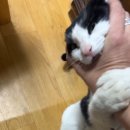 이이주내과의원 이미지