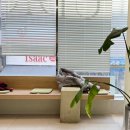 아이다헤어스튜디오