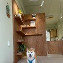 윔스(WIMS) 이미지