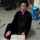 귀래김치 Daum카페