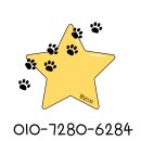 멍냥스타 강아지분양 고양이분양 이미지