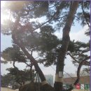 수원팔색길 효행길 이미지