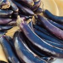 이재숙농장 이미지