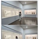 고란지 이미지