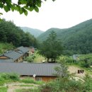 더불어 농장 이미지