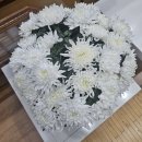 아너패밀리 | 아너스톤 가격 용인공원 프리미엄 봉안당 이용