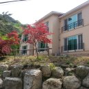 박달재자연휴양림 이미지