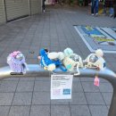 용신21 | [해외여행/도쿄] 도쿄 3박 4일 Day2 가마쿠라&amp;에노시마