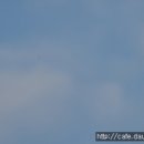 마루산