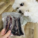 댕금님표 수제간식 | 댕금님표 캥거루갈비 강아지수제간식 리뷰