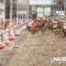 봉화축산유통 이미지