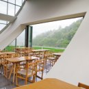 뮤지엄 스테이 이미지