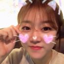 서하컴퍼니