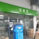 디오클린 이미지