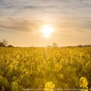 무릉농장 이미지