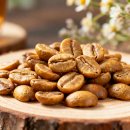앂.아로마(SIP.AROMA) | 에티오피아 게뎁 G1 워시드 커피원두: 아프리카 커피의 정수