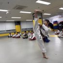 아이세상 태권도장 | 화성태권도 화산태권도장에서 아이들이 성장하는 순간들