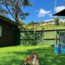 델라고 | 서울 근교에서 찾은 완벽한 힐링, 양평 애견동반 독채 ‘델라고펜션’ 후기