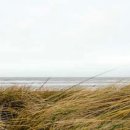 남부시장 이미지