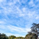 베버리힐스 이미지