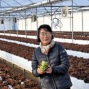 수현2농장 이미지