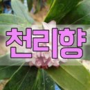 천리환경 이미지
