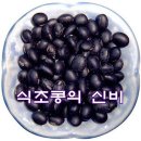 콩과 식초가 만나면 이미지